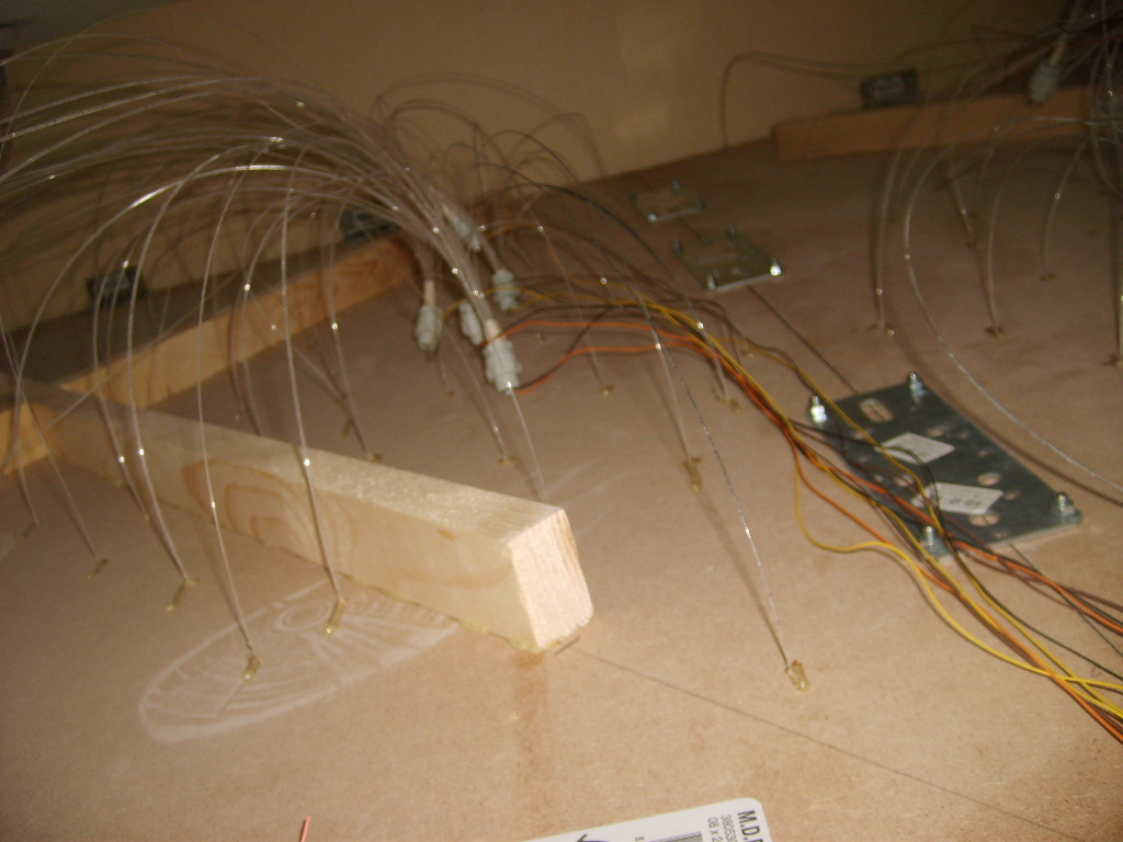 S6000933.JPG